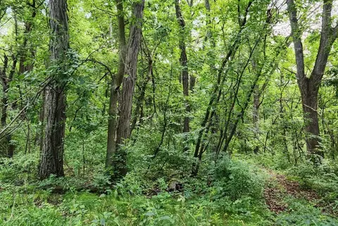 0000 E Townline Rd, Leaf River, IL 61047