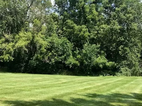 4123 Split Leaf Dr, Loves Park, IL 61111 photo 5