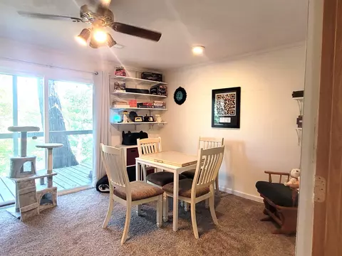 708 N Kaskaskia Dr, Dixon, IL 61021 photo 38