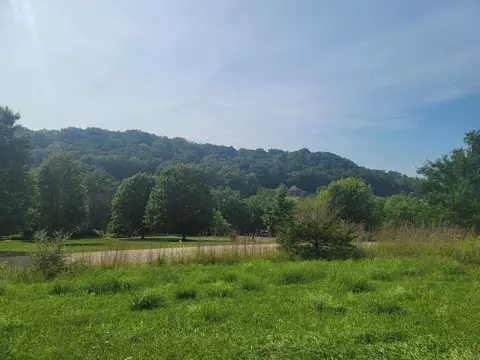 175 Cogan Dr, Galena, IL 61036