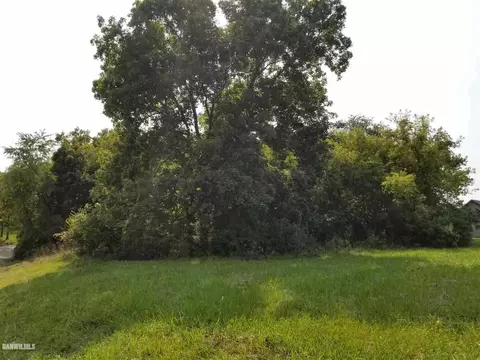 5-53 R Chadbourne, Lake Carroll, IL 61046 photo 4
