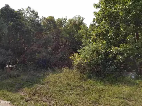 5-53 R Chadbourne, Lake Carroll, IL 61046 photo 2