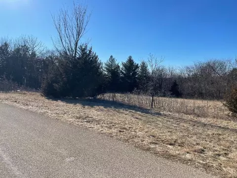 33 Lake Ridge Rd, Galena, IL 61036