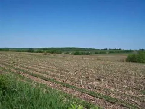 tbd Winnesheik Rd, Ridott, IL 61067