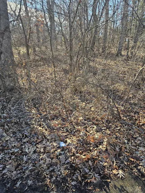 553 Baintree, Lake Summerset, IL 61019 photo 1