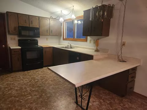 317 E Pine Ln, Shannon, IL 61078 photo 3