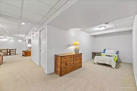 19-14 Timber Ridge Rd, Lanark, IL 61046 photo 28