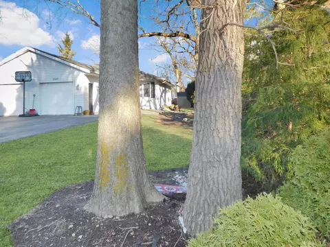11481 Edgemere Ter, Roscoe, IL 61073 photo 14
