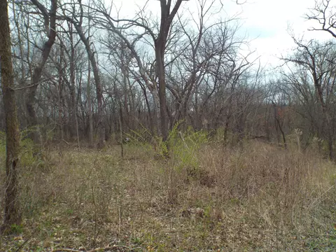 tbd Dog Hollow Rd, Wiota, WI 53504
