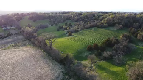 2121 W Hanover Rd, Hanover, IL 61041 photo 13