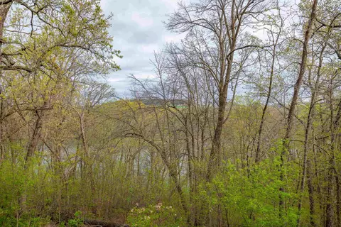 7 Pinehurst Ct, Galena, IL 61036 photo 52