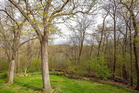 7 Pinehurst Ct, Galena, IL 61036 photo 49