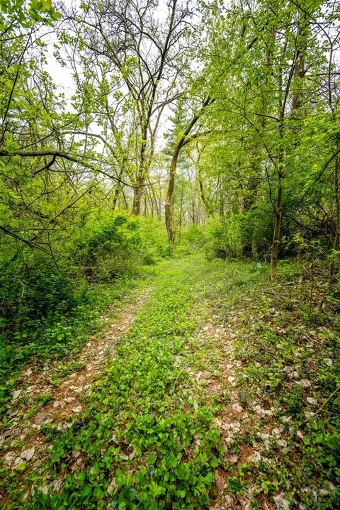 3 A63 General Lee Dr, Apple River, IL 61001 photo 37