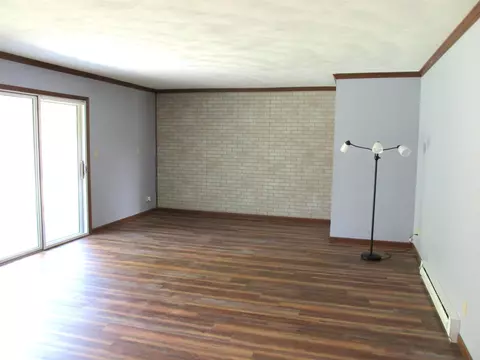Living - 506 S Garfield St, Leaf River, IL 61047 photo 2 of 7