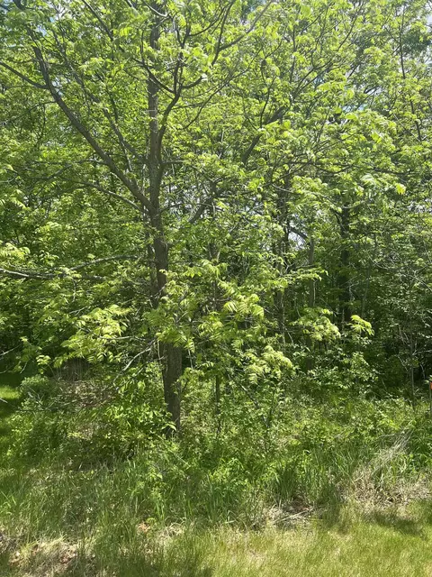 3 Orchard Ln, Galena, IL 61036