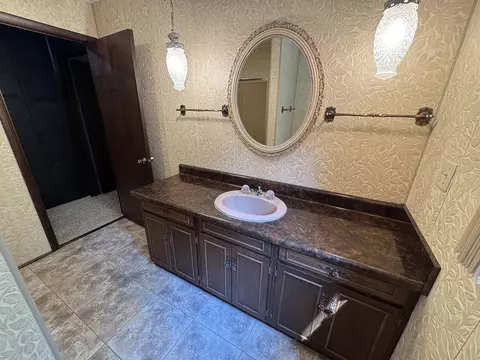 Bath - 4976 Pheasant Dr, Thomson, IL 61285 photo 4 of 5