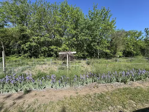 Other - 4976 Pheasant Dr, Thomson, IL 61285 photo 23 of 25