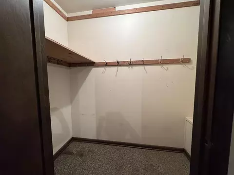 Other - 4976 Pheasant Dr, Thomson, IL 61285 photo 20 of 25