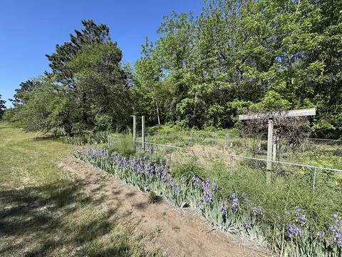 Other - 4976 Pheasant Dr, Thomson, IL 61285 photo 24 of 25