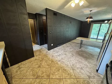 Other - 4976 Pheasant Dr, Thomson, IL 61285 photo 3 of 25