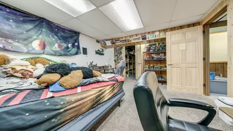 113 Maple Ave, Mount Morris, IL 61054 photo 28