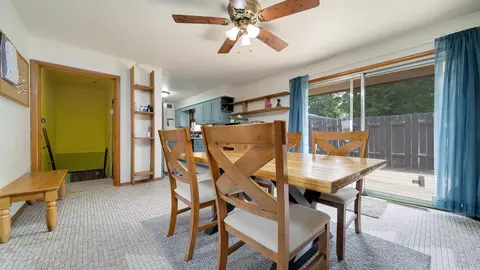 113 Maple Ave, Mount Morris, IL 61054 photo 20