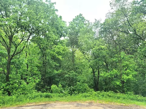4 Hillside Ct, Galena, IL 61036