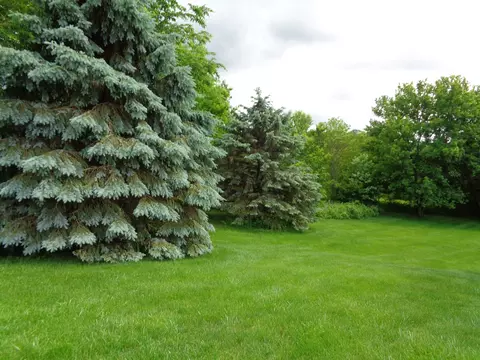 2 Fawn Ln, Galena, IL 61036