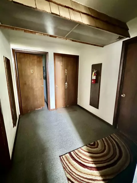 Entry Way - 217 E 3rd St, Byron, IL 61010 photo 3 of 5