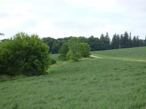 tbd W Council Hill Rd, Galena, IL 61036