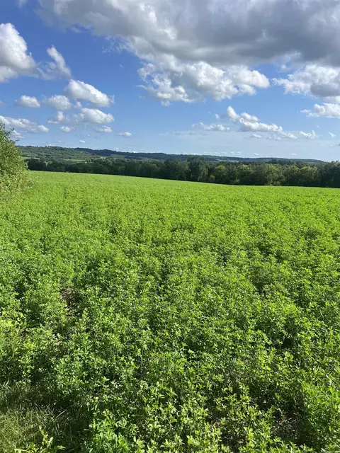 Rush Creek Road, Stockton, IL 61085