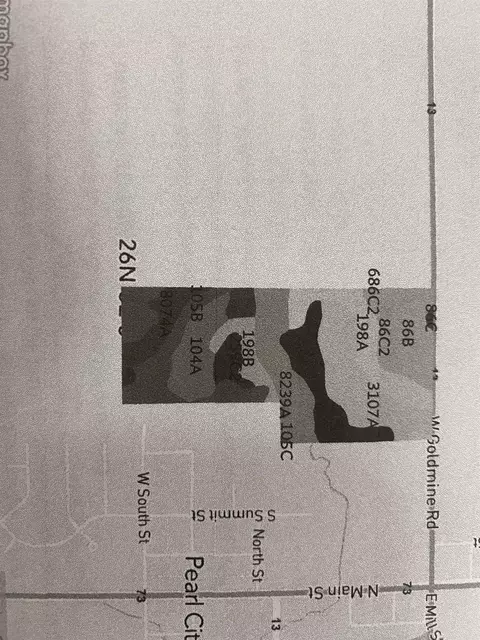 70 2 Acres Goldmine Rd, Pearl City, IL 61062