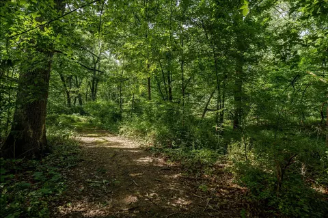 N River Road, Ridott, IL 61067 photo 7