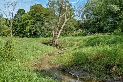 N River Road, Ridott, IL 61067 photo 48