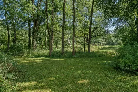 N River Road, Ridott, IL 61067 photo 42