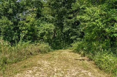 N River Road, Ridott, IL 61067 photo 50