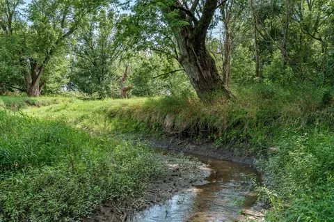 N River Road, Ridott, IL 61067 photo 49