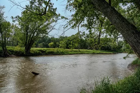 N River Road, Ridott, IL 61067 photo 63
