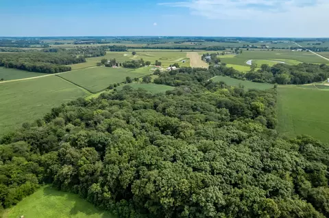 N River Road, Ridott, IL 61067 photo 16
