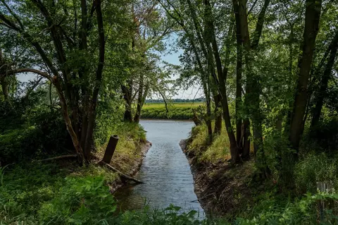 N River Road, Ridott, IL 61067 photo 59