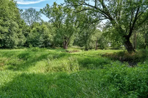 N River Road, Ridott, IL 61067 photo 47