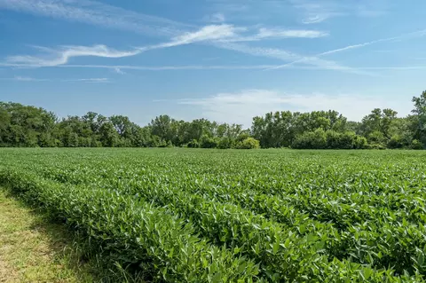 N River Road, Ridott, IL 61067 photo 54