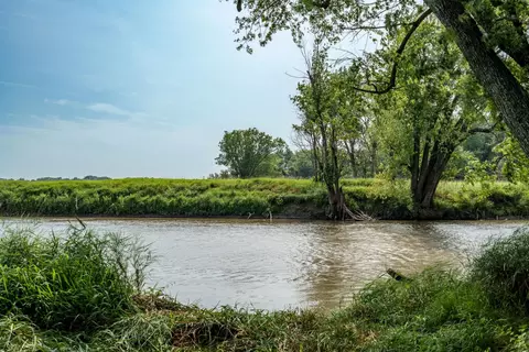 N River Road, Ridott, IL 61067 photo 8