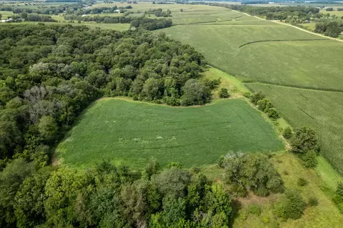 N River Road, Ridott, IL 61067 photo 12