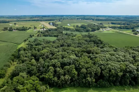 N River Road, Ridott, IL 61067 photo 15