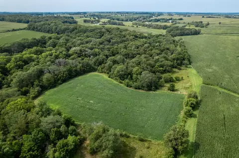 N River Road, Ridott, IL 61067 photo 13