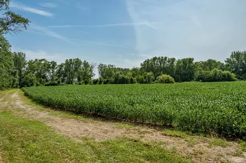 N River Road, Ridott, IL 61067 photo 51
