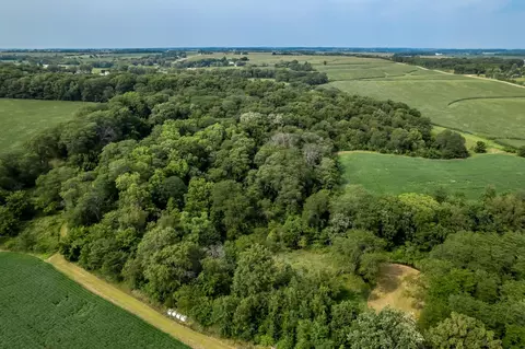 N River Road, Ridott, IL 61067 photo 23