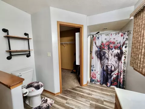 Bath - 203 S Westview Dr, Lanark, IL 61046 photo 3 of 6