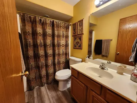 Bath - 203 S Westview Dr, Lanark, IL 61046 photo 4 of 6